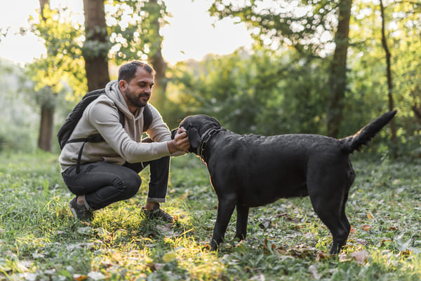 moniteur education canine